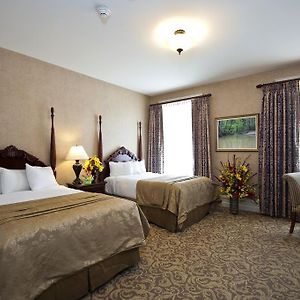 Deluxe Double Room Two Double Beds